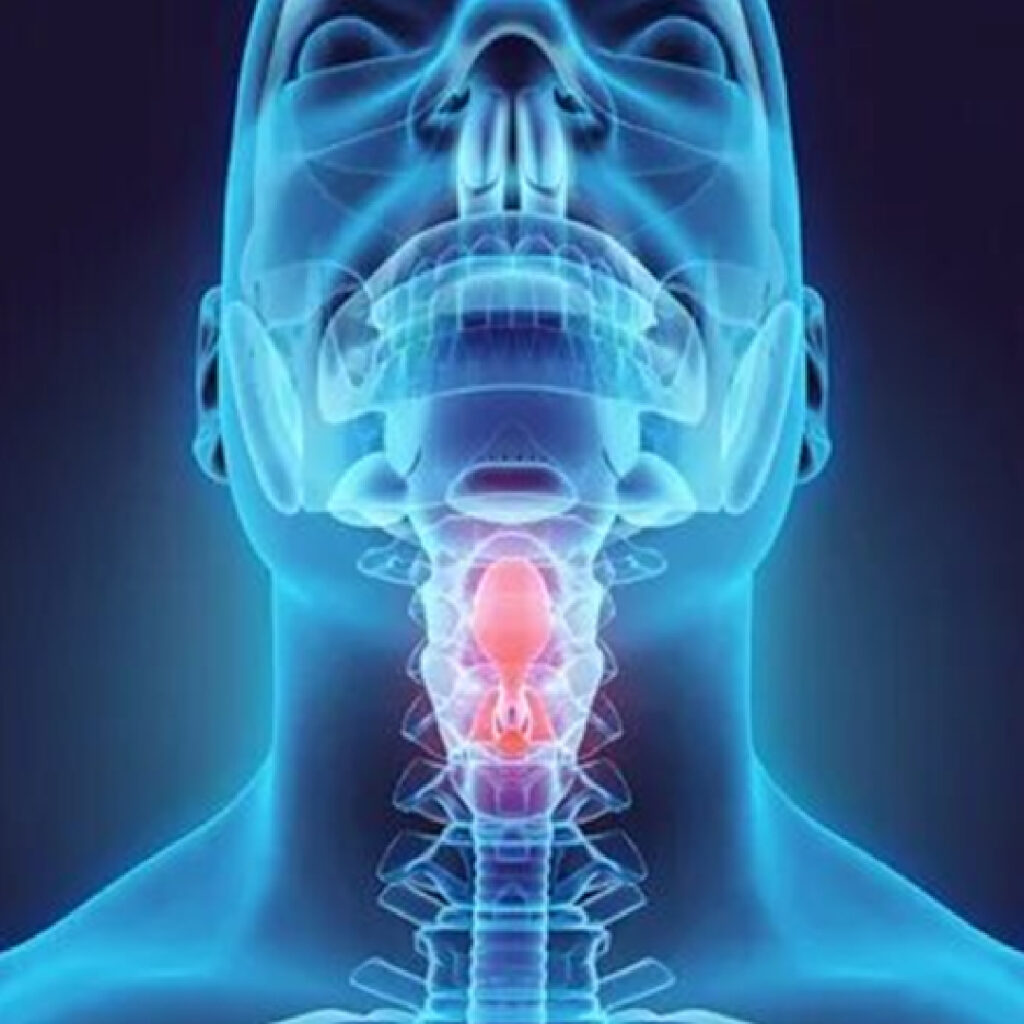 head and neck cancer prevention and screening